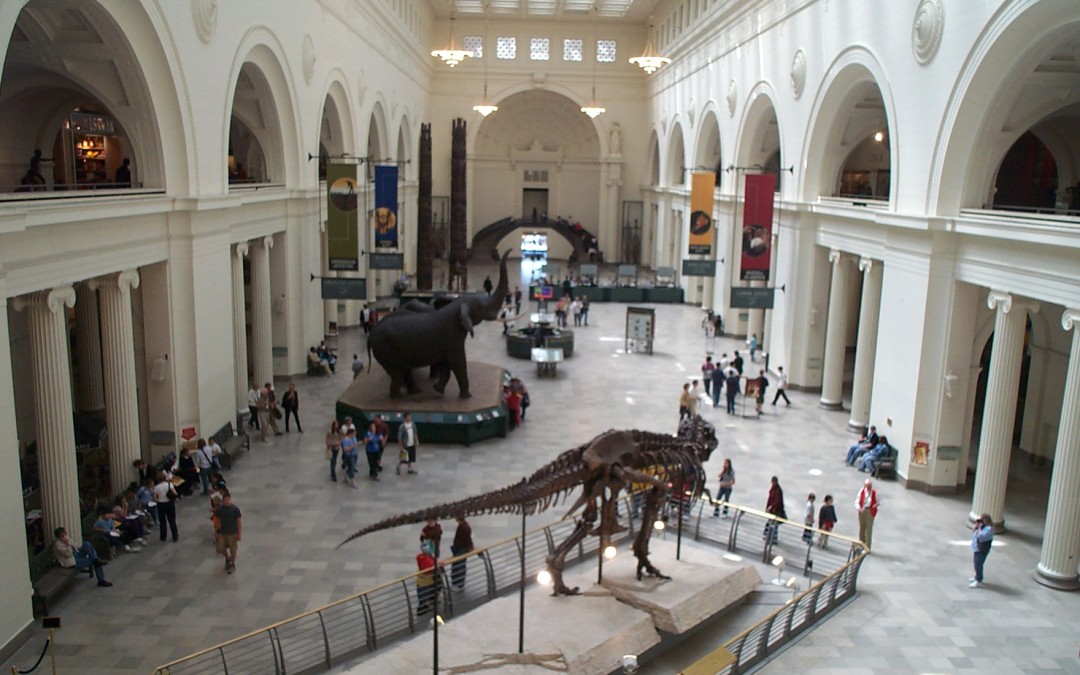 The Field Museum
